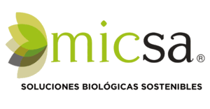 MICSA
