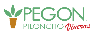 PEGON